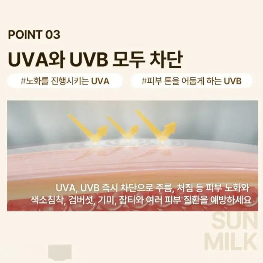 [BUNJANG] Lagrange Sun Milk & Innisfree UV Active Sunscreen Bundle / (톤업 선크림 140ml)라그랑 이니스프리 선스크린 선밀크 새상품