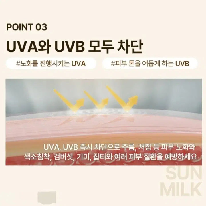 [BUNJANG] Lagrange Sun Milk & Innisfree UV Active Sunscreen Bundle / (톤업 선크림 140ml)라그랑 이니스프리 선스크린 선밀크 새상품