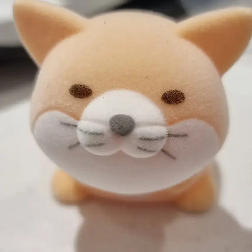 [BUNJANG] Manju Raccoon and Fox Desert Fox Plush / 만쥬 너구리와 여우 사막여우
