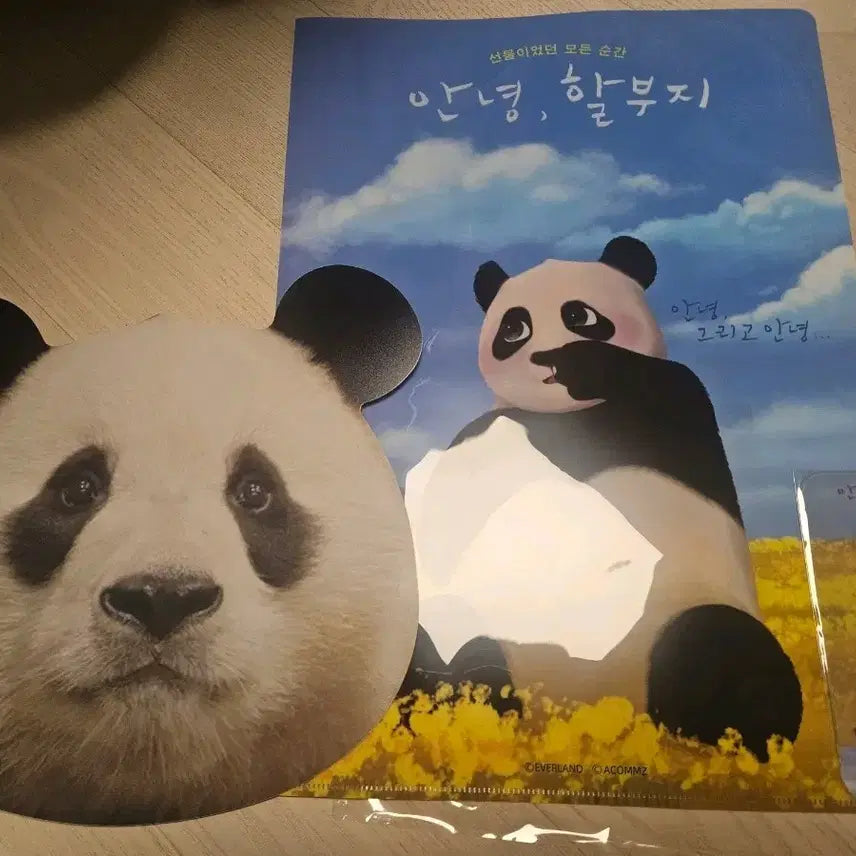 [BUNJANG] Annyeong Halabuji Merchandise Bundle Set / 안녕할부지 굿즈 일괄판매