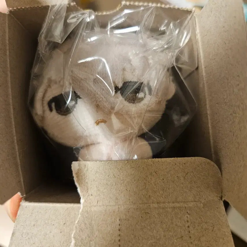 [BUNJANG] Blue Lock Nagi Seishiro Hug Character Plush / 블루록 허그캬라 나기 세이시로 누이구루미