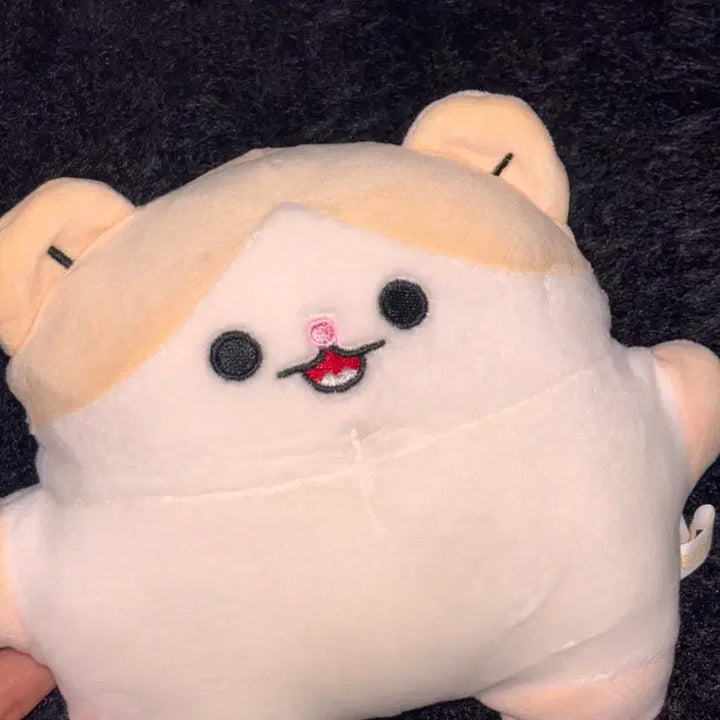 [BUNJANG] Hamnyang Market Yang Yoseob Doll / 햄냥마켓 냥냥인형 양요섭인형