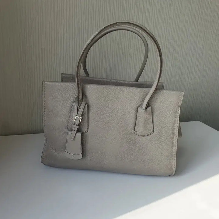 [BUNJANG] Tods Small Tote Bag / 정품 ㅡ토즈ㅡㅡ스몰.  ((. 토트백