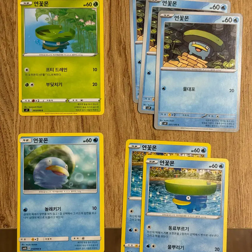 [BUNJANG] Pokemon Lotusmon Card / 포켓몬카드 연꽃몬 판매