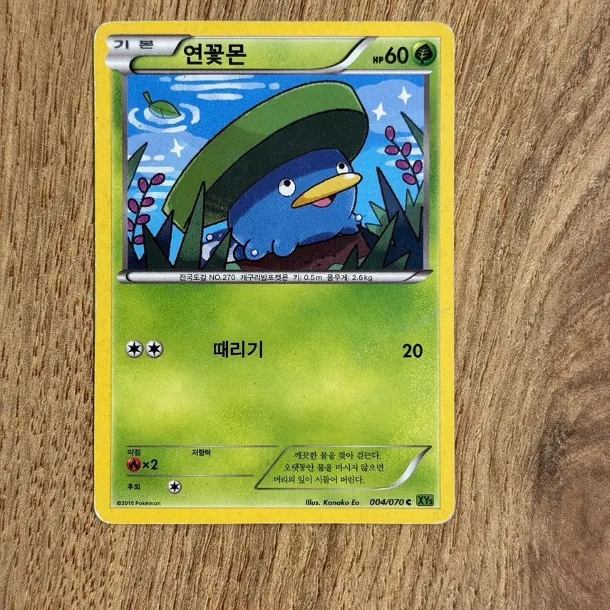 [BUNJANG] Pokemon Lotusmon Card / 포켓몬카드 연꽃몬 판매