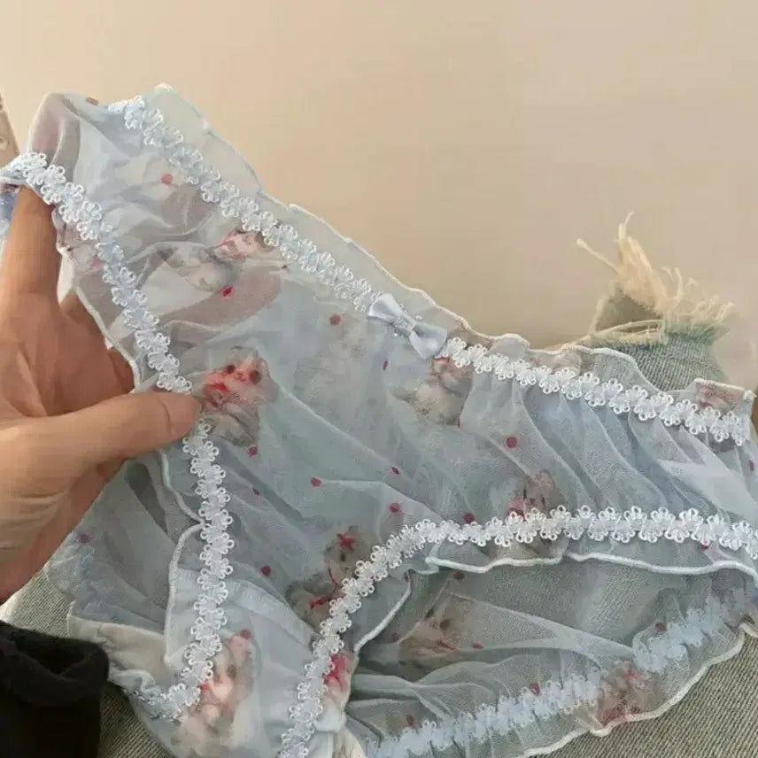 [BUNJANG] Women's Panties Set / 19번     여성 팬티 4종