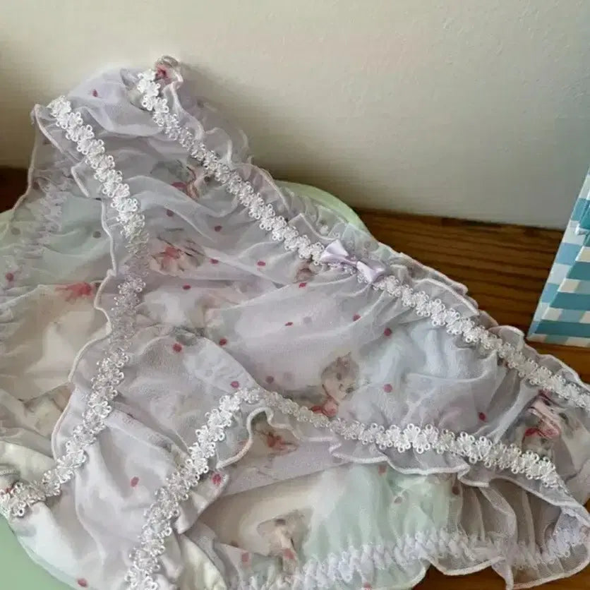 [BUNJANG] Women's Panties Set / 19번     여성 팬티 4종