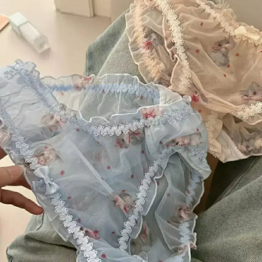 [BUNJANG] Women's Panties Set / 19번     여성 팬티 4종