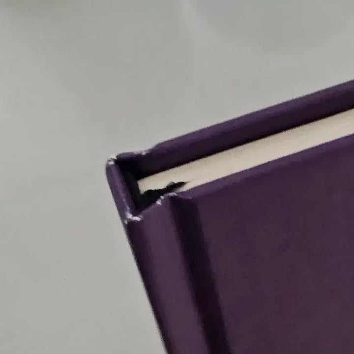 [BUNJANG] Rebecca 2006 Version Script Book / 레베카 대본집 2006 ver.