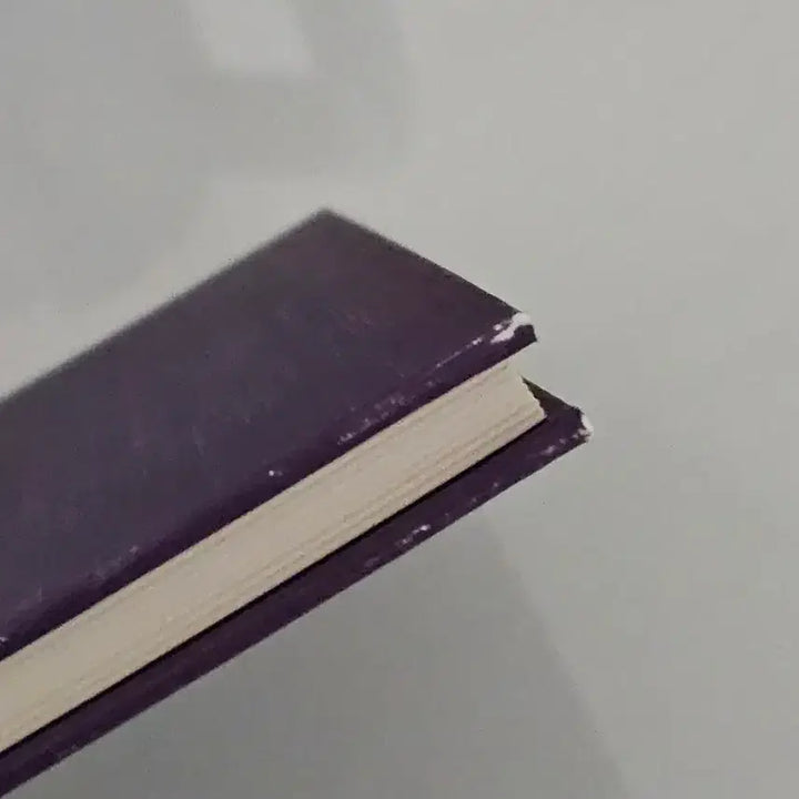 [BUNJANG] Rebecca 2006 Version Script Book / 레베카 대본집 2006 ver.