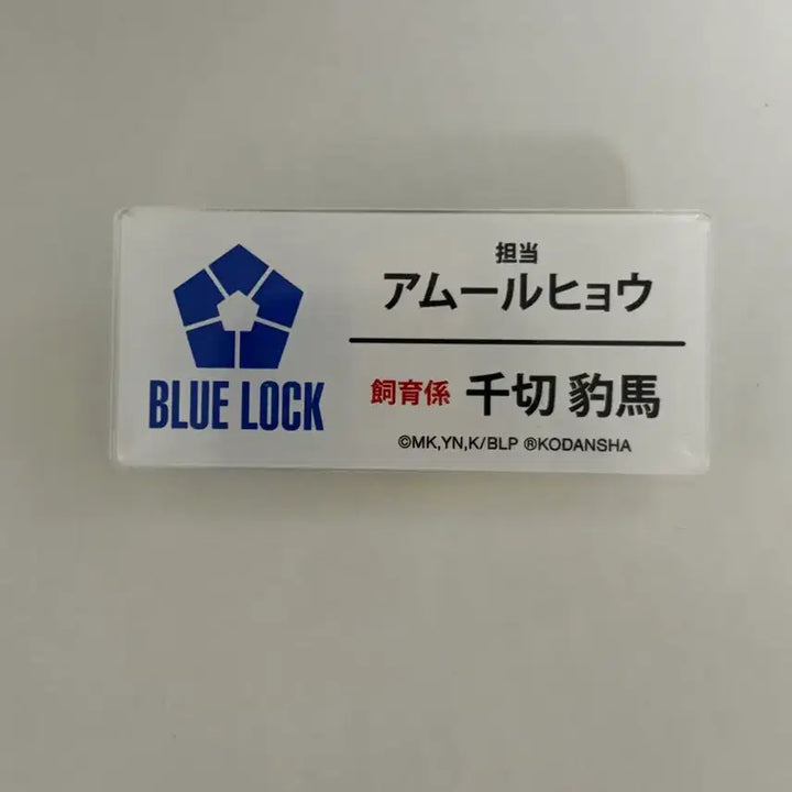 [SOLD OUT] 급전)블루록 치기리 효마 유소년 누이구루미 치비구루미 덤 포함!!