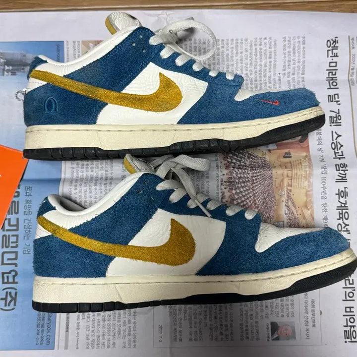 [BUNJANG] Nike Kasina Dunk Low Sneakers / [275] 나이키 카시나 덩크 로우