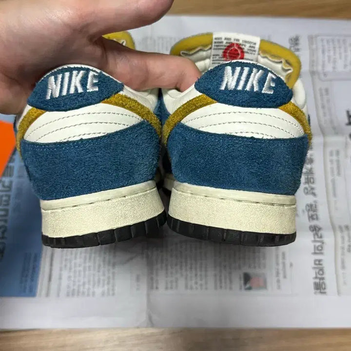 [BUNJANG] Nike Kasina Dunk Low Sneakers / [275] 나이키 카시나 덩크 로우