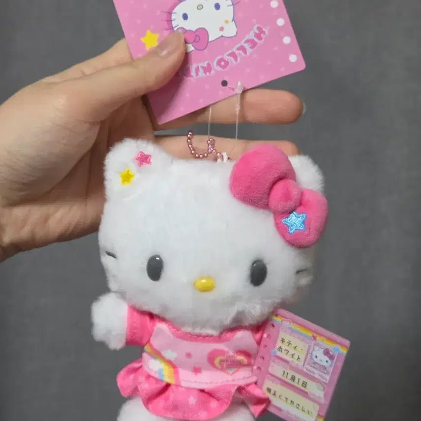 [BUNJANG] Sanrio Hello Kitty Self-Introduction Mascot / 헬로키티 자기소개 마스코트