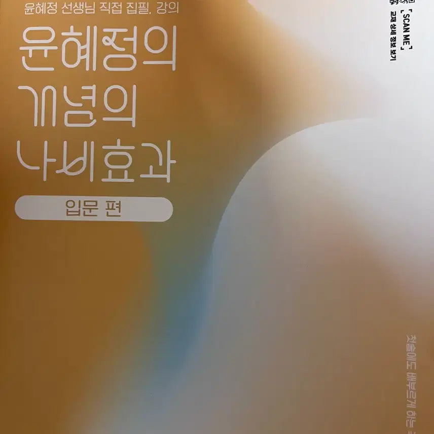 [BUNJANG] Yun Hye-jeong's Butterfly Effect: Introduction / 윤혜정의 나비효과 입문