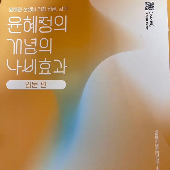 [BUNJANG] Yun Hye-jeong's Butterfly Effect: Introduction / 윤혜정의 나비효과 입문