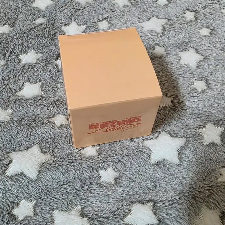 [SOLD OUT] [미개봉] 라이즈 성찬 우락밤 헤어핀 라이징 라우드 도쿄돔 MD
