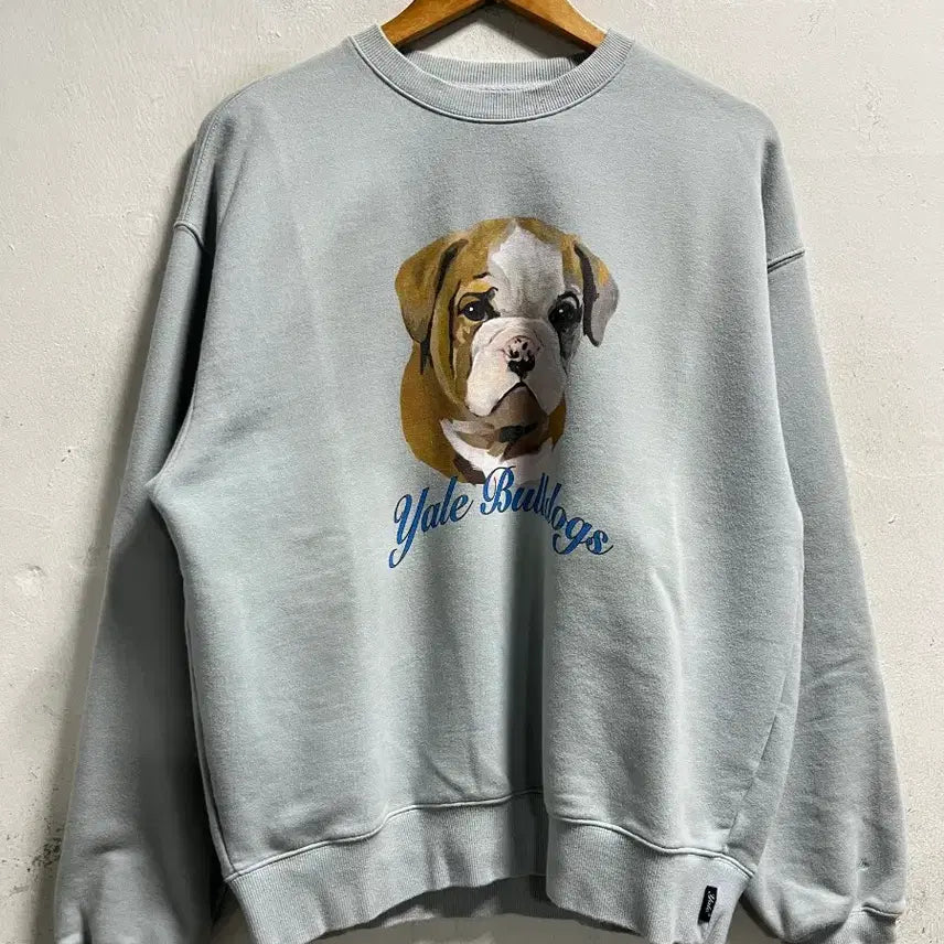 [BUNJANG] Yale Loose Fit Sweatshirt / 100 YALE 루즈핏 스웻 맨투맨 정품