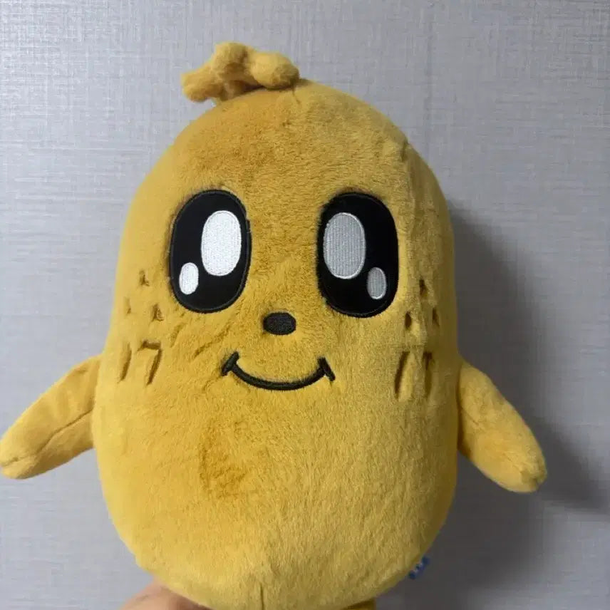 [BUNJANG] Mini Tin Kimja / 미니틴 김자