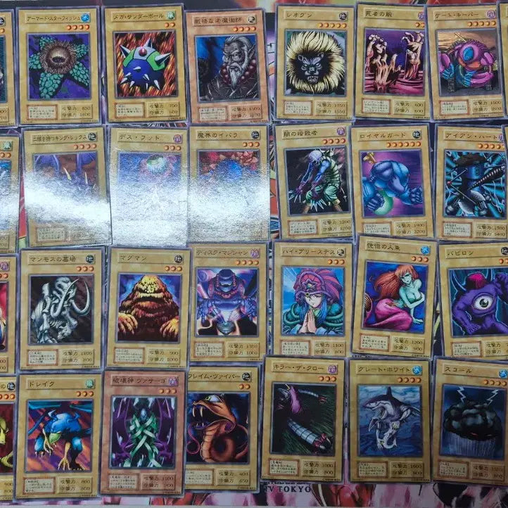 [BUNJANG] Yu-Gi-Oh! 1st Edition Japanese Normal Card Set / 유희왕 1기 일본판 초기 노멀 카드 세트 전부다
