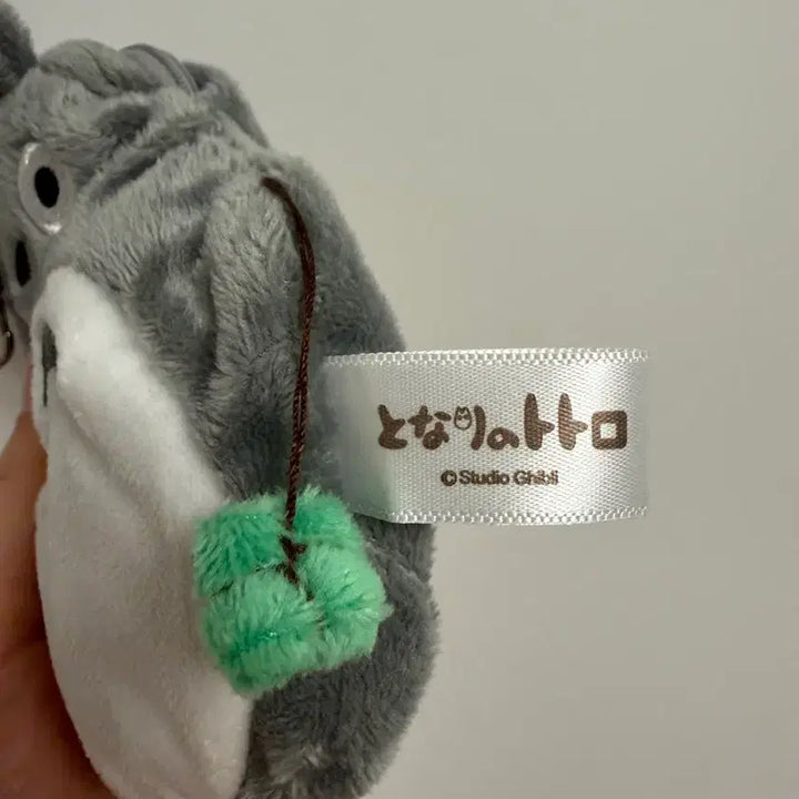 [BUNJANG] Ghibli Totoro Lilepass Pouch / 정품 미사용) 이웃집 토토로 릴패스 파우치 최종가