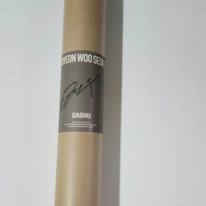 [BUNJANG] Byeon Woo-seok Dasu Poster / 변우석 다슈포스터