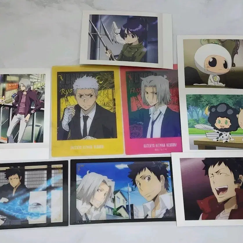 [BUNJANG] Katekyo Hitman Reborn! Paca Bundle Set / (일괄) 가히리 파샤 9장