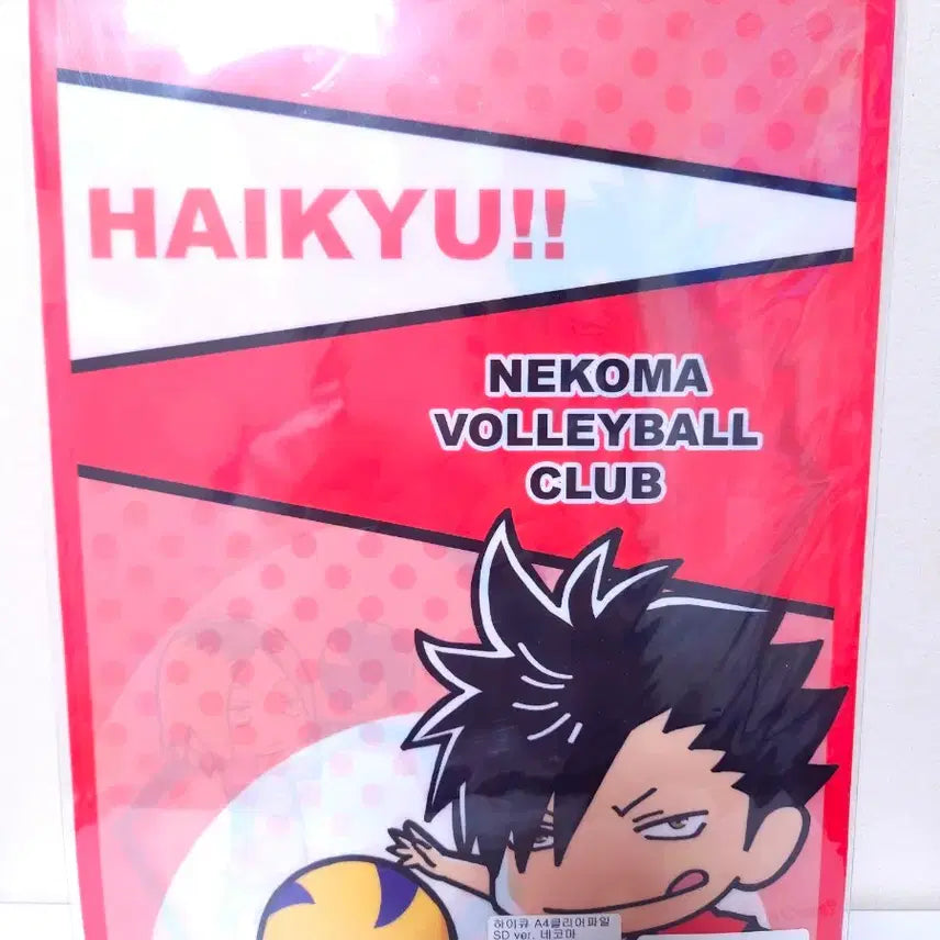 [BUNJANG] Haikyu Clear File Set / 하이큐 클리어파일 3종 세트