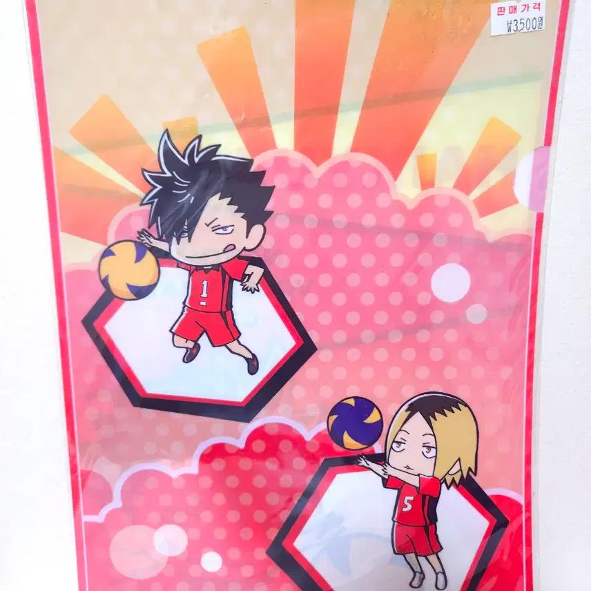 [BUNJANG] Haikyu Clear File Set / 하이큐 클리어파일 3종 세트