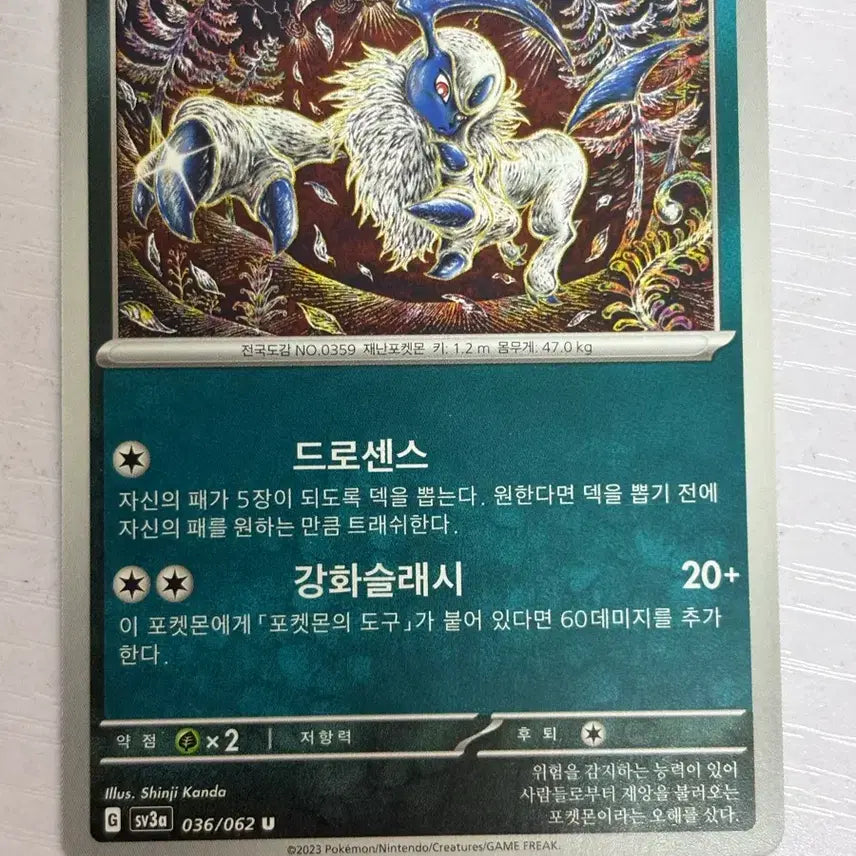 [BUNJANG] Pokemon Card Absol (Shinji Kanda Illustration) / [귀여운 포켓몬 카드] shinji kanda 앱솔