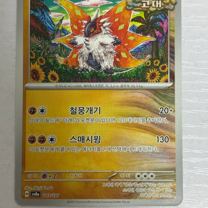 [BUNJANG] Pokemon Card Shiny Kanda Ground-Type Wing Card / [귀여운 포켓몬 카드] shinji kanda 땅을기는날개