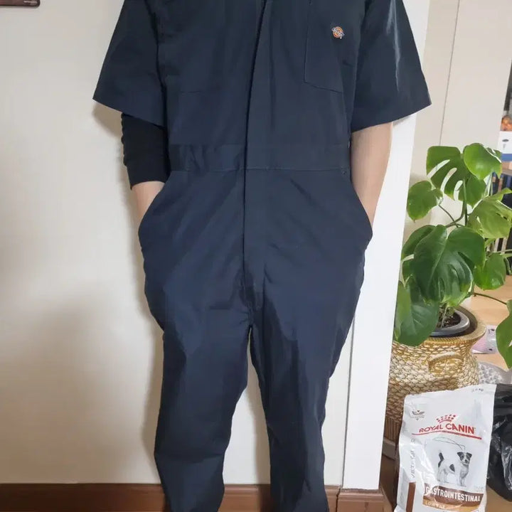 [BUNJANG] Dickies Deep Navy Short Sleeve Coverall Jumpsuit (L) / 디키즈 딥네이비 반팔 커버올 점프수트 사이즈 L