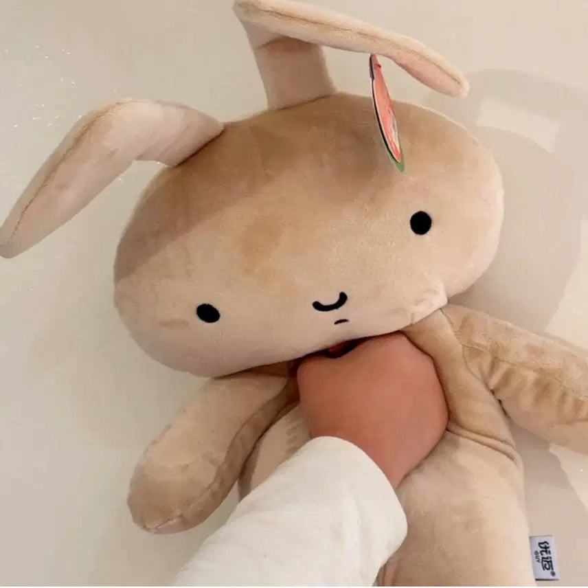 [BUNJANG] Crayon Shin-chan Yuri Rabbit Doll &amp; Keychain / 짱구 유리토끼 가방