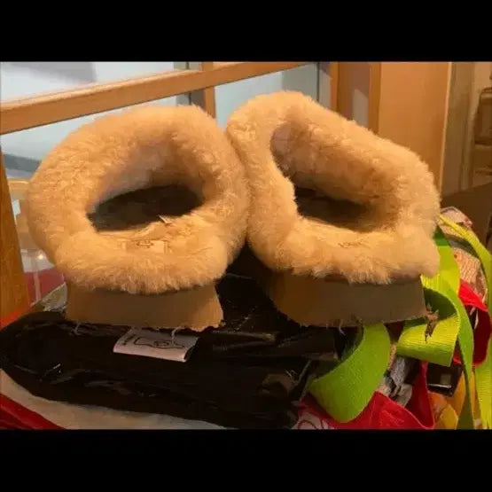 [BUNJANG] UGG Disquette Slippers / 미국 어그 디스케트