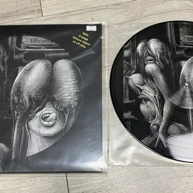 [BUNJANG] The Shiver Walpurgis Limited Edition Picture Disc Vinyl (1969) / The Shiver lp