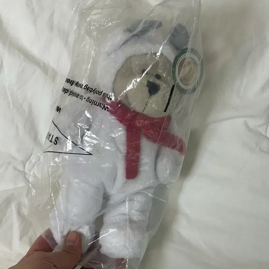 [BUNJANG] Starbucks Christmas Polar Bear Bearista (Boy) / 스타벅스 크리스마스 폴라베어 베어리스타 (보이)