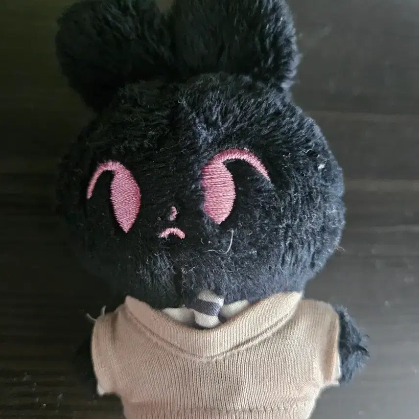 [BUNJANG] NCT Doyoung Hatto Kkamtto Plush Doll / nct 도영 인형 하또 깜또 판매합니다