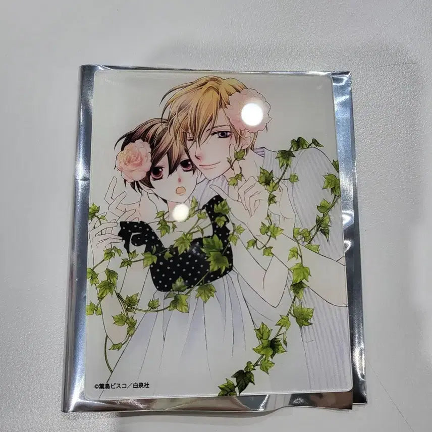 [BUNJANG] Ouran High Host Club Acrylic Card Bundle Set / 오란고교 호스트부 사교클럽 아크릴카드 5종 일괄 양도