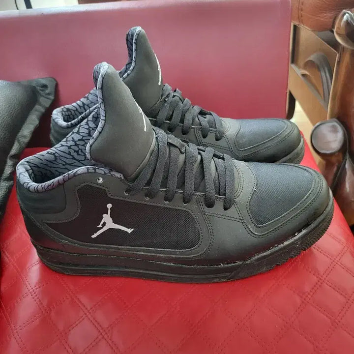 [BUNJANG] Jordan 290mm Basketball Shoes / 조던 290mm
