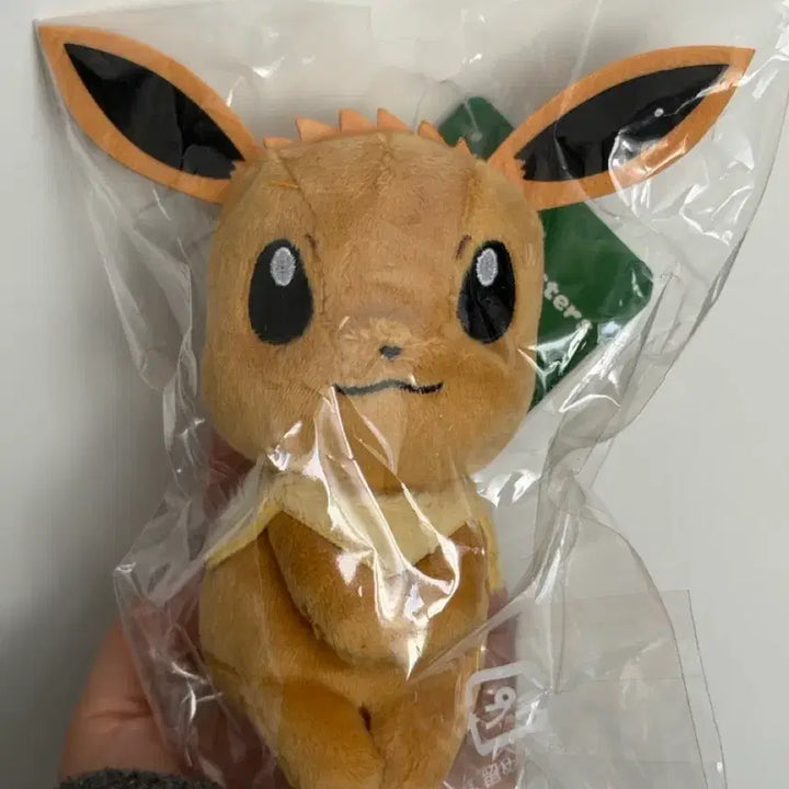 [BUNJANG] Pokemon Eevee Chokkorisan Mascot Bundle Set / 포켓몬 포켓몬스터 이브이 촛코리상 마스코트 가챠 일괄