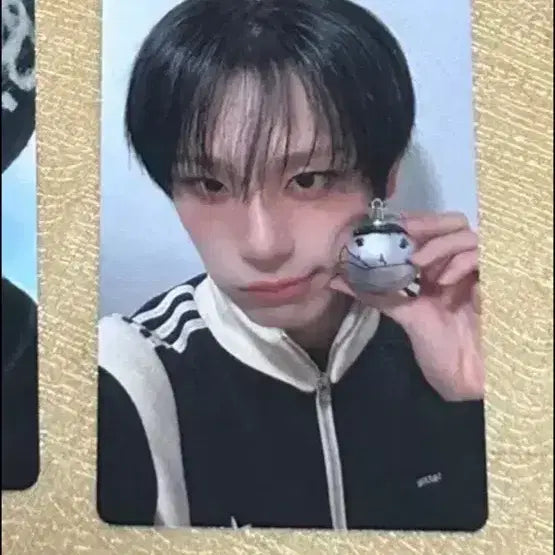 [BUNJANG] X:Love Katoharu Photocard / 엑스러브포토카드