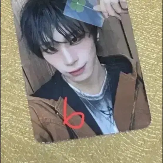 [BUNJANG] X:Love Katoharu Photocard / 엑스러브포토카드