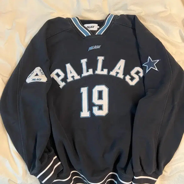 [BUNJANG] Palace Pallas Crewneck Sweatshirt - Size L / 팔라스 Palace Pallas crew L사이즈