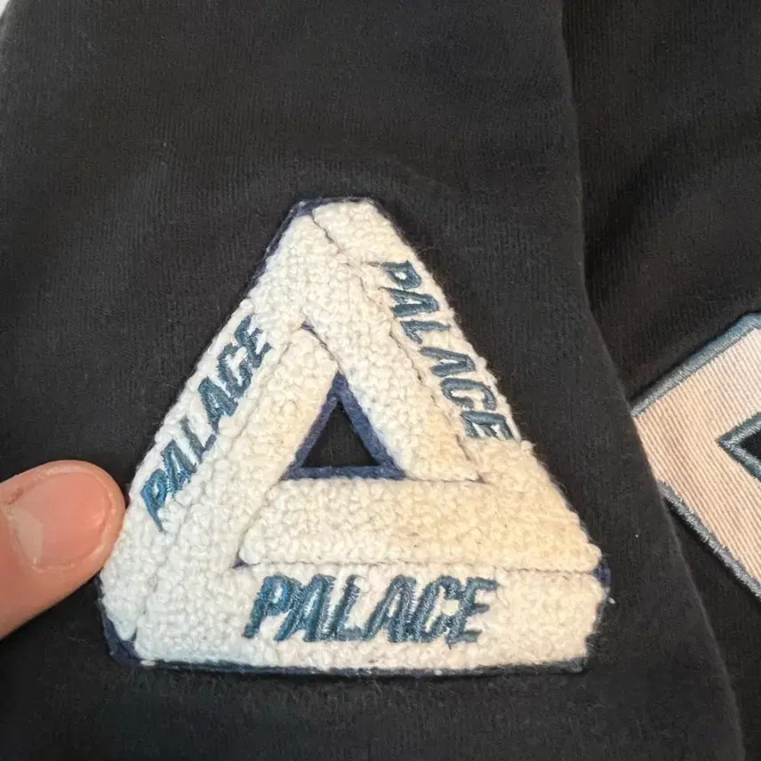 [BUNJANG] Palace Pallas Crewneck Sweatshirt - Size L / 팔라스 Palace Pallas crew L사이즈