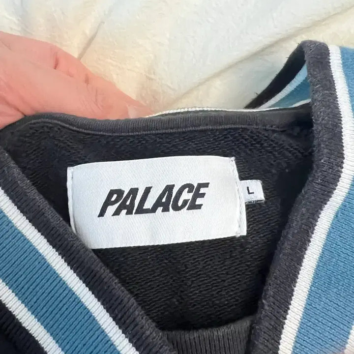 [BUNJANG] Palace Pallas Crewneck Sweatshirt - Size L / 팔라스 Palace Pallas crew L사이즈