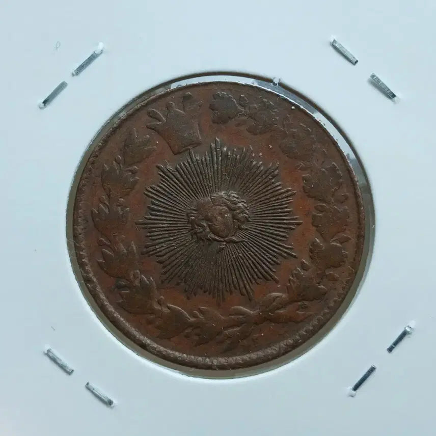 [BUNJANG] Iran 1880 2 Shahi (100 Dinars) - Rare Coin / 이란 1880 2shahi (100dinars) ㅡ희소동원ㅡ