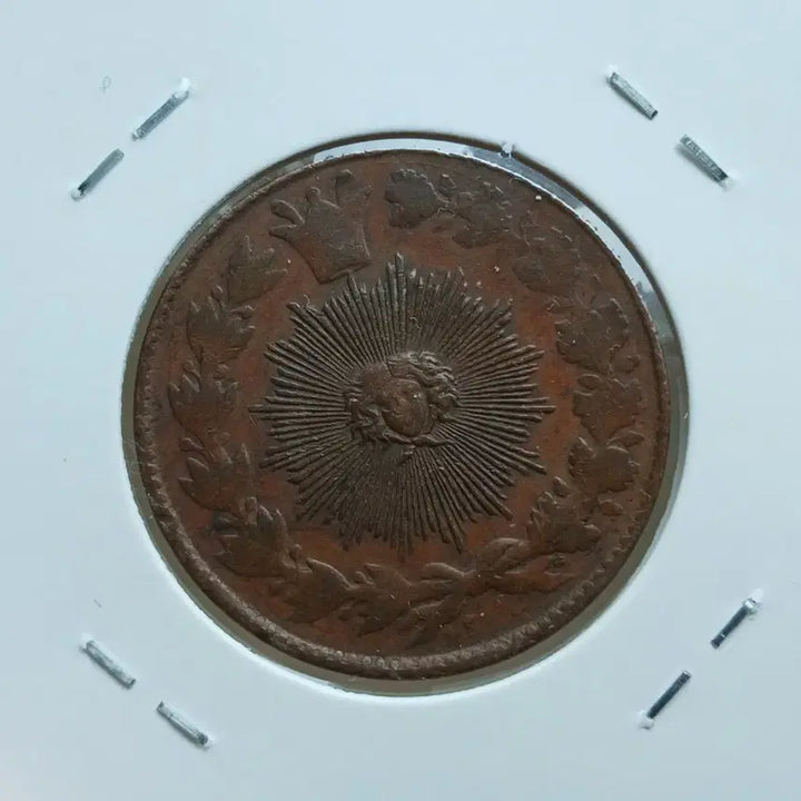 [BUNJANG] Iran 1880 2 Shahi (100 Dinars) - Rare Coin / 이란 1880 2shahi (100dinars) ㅡ희소동원ㅡ