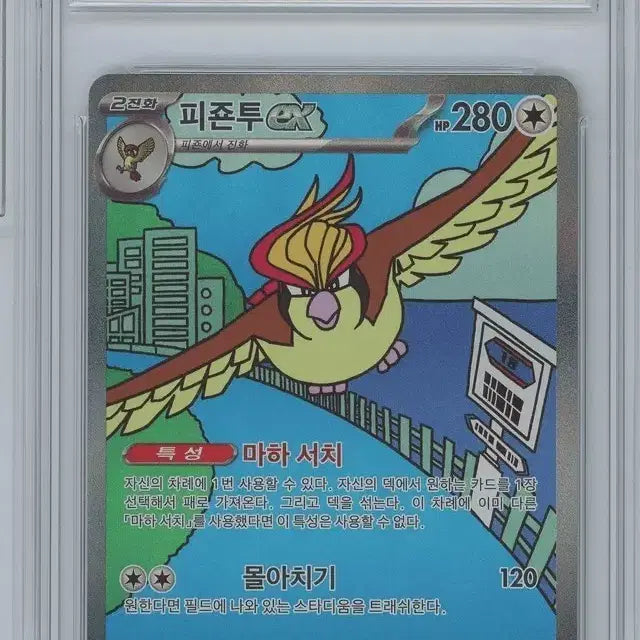 [BUNJANG] Pokemon Pidgeotto EX SAR Card / 포켓몬 카드 피죤투 EX SAR (SV3 136 BRG9)