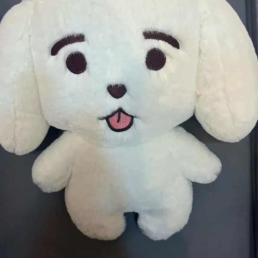 [BUNJANG] SF9 Jaeyoon 10cm Doll / Sf9 재윤 인형 쟁백구 쟁109