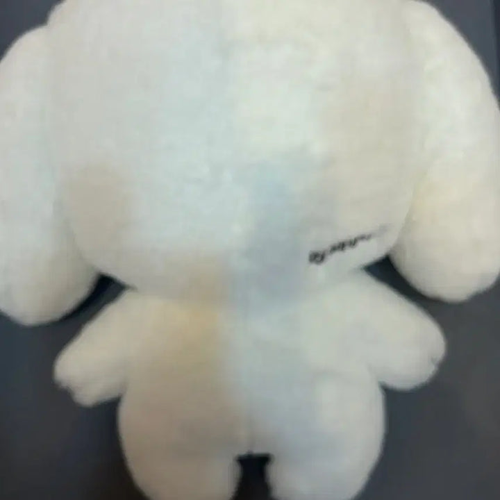 [BUNJANG] SF9 Jaeyoon 10cm Doll / Sf9 재윤 인형 쟁백구 쟁109